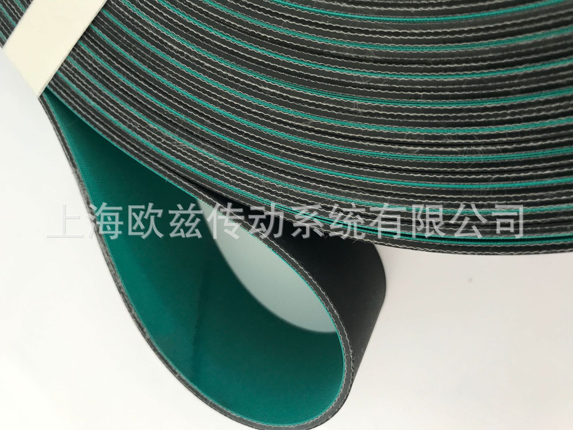 西格林SIEGLING GG/T 20P/25 NSTR/FSTR GREEN/BLACK(圖5)