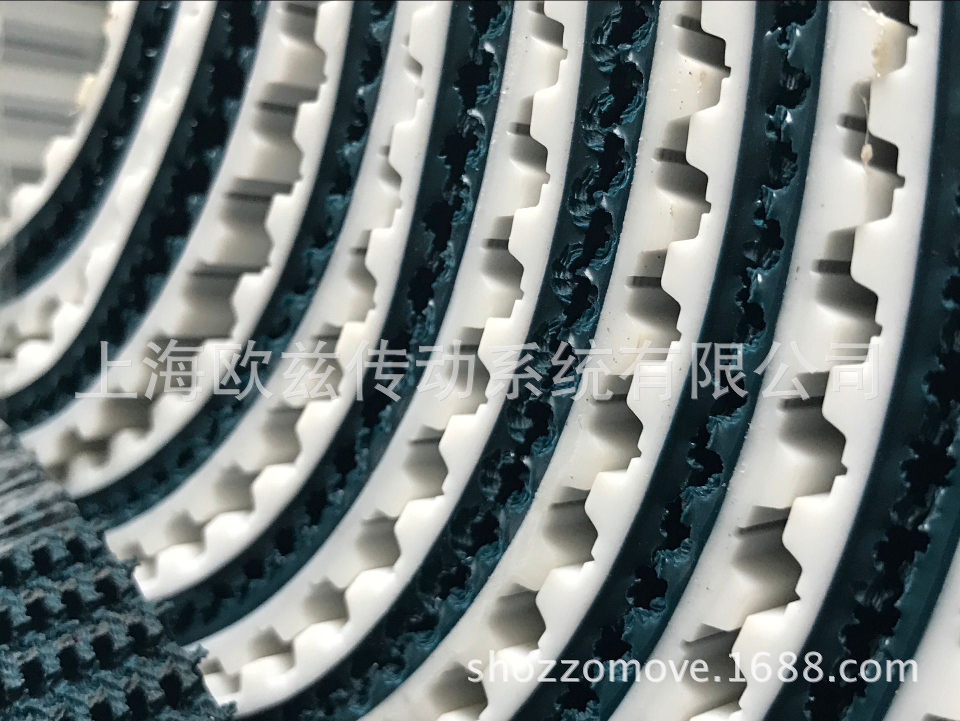 德國FORBO-SIEGLING西格林-T10草紋同步帶(圖1)