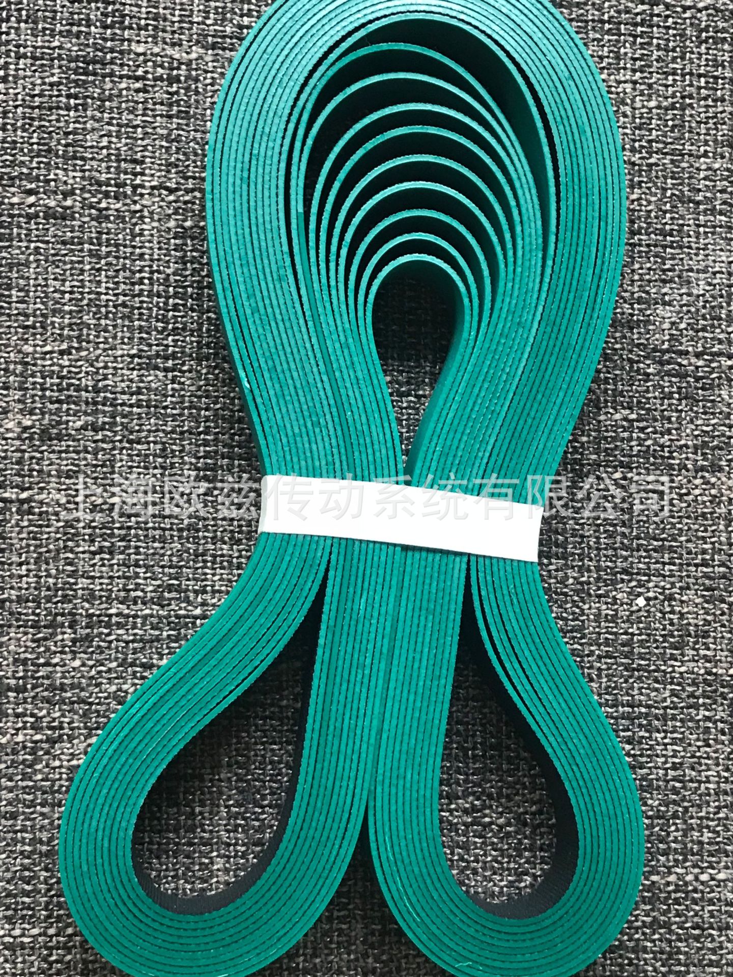 西格林SIEGLING--（原裝進口）UU40U 光伏行業 彈性帶