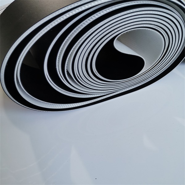 西格林物流帶木工行業輸送帶物流伸縮機木工行業后期加工（進料、貼面、層壓）(圖1)