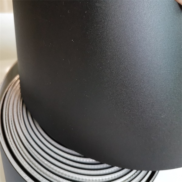 西格林物流帶木工行業輸送帶物流伸縮機木工行業后期加工（進料、貼面、層壓）(圖3)