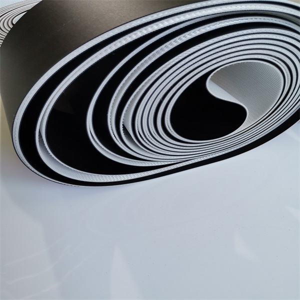 西格林物流帶木工行業輸送帶物流伸縮機木工行業后期加工（進料、貼面、層壓）(圖6)