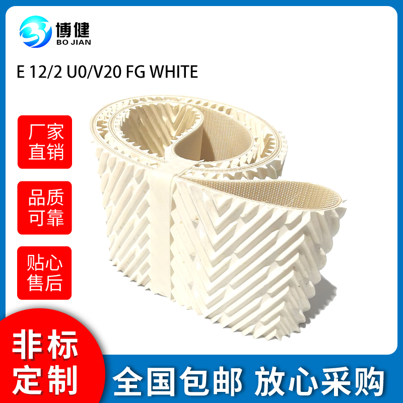 西格林漁業(yè)和肉食行業(yè)海產(chǎn)加工食品行業(yè)普通輸送金檢機(jī)玻璃行業(yè)平板玻璃輸送(圖1)